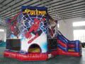 Inflatable Theme Combo with En-14960 Standard for Sale