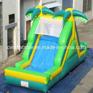 Inflatable Water and Dry Backyard Party Slide Tropical Version
